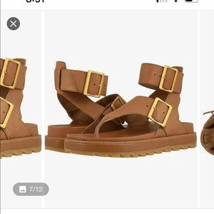 Sorel brown sandals